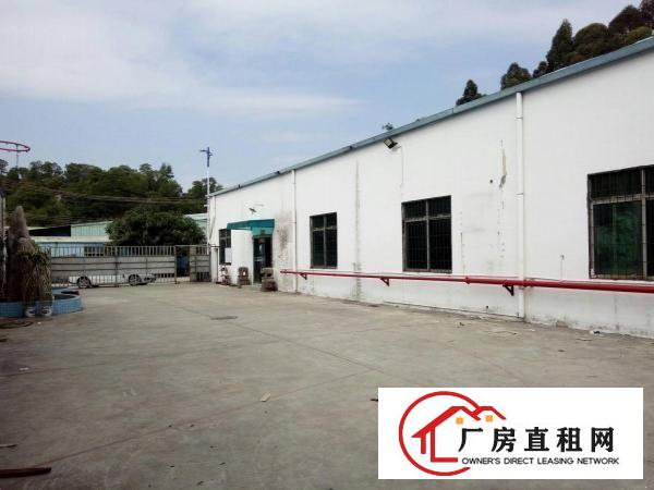 
牛湖500、800、1000铁皮厂房出租