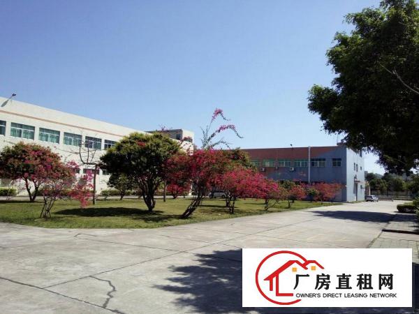 
观澜新空出3800平米独栋厂房出租