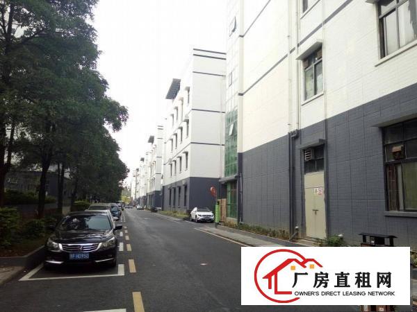 
新田创新工业园新出3楼1200厂房
