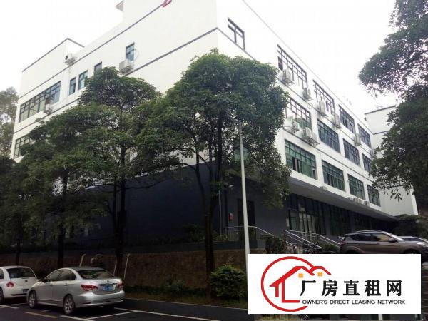 
新田创新工业园新出3楼1200厂房