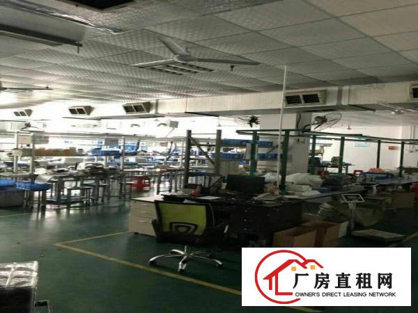 
章阁新出三楼800平带精装修