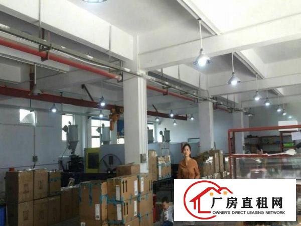 
龙华观澜君子布900平米一楼带装修厂房出租