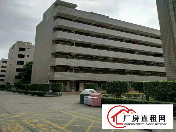 
观澜梅观高速出口旁花园式独栋8000平方厂房招租
