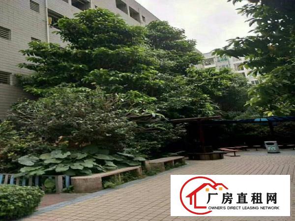 
观澜梅观高速出口旁花园式独栋8000平方厂房招租