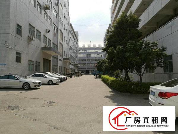 
新出原房东厂房一栋5层单层1500平可整可分租