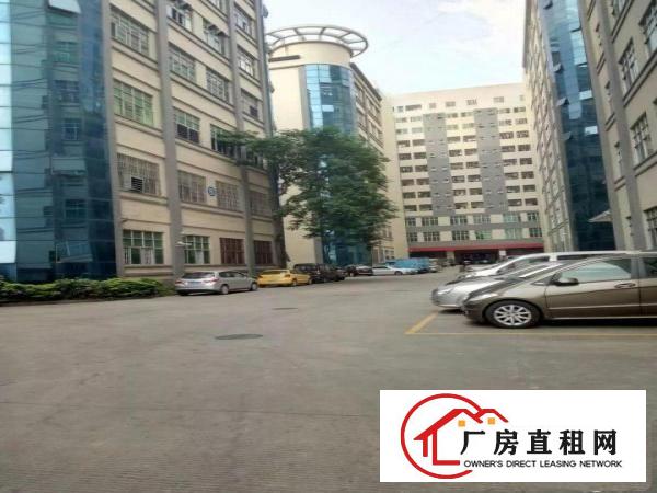 
观澜大和工业园1500平方带装修厂房出租