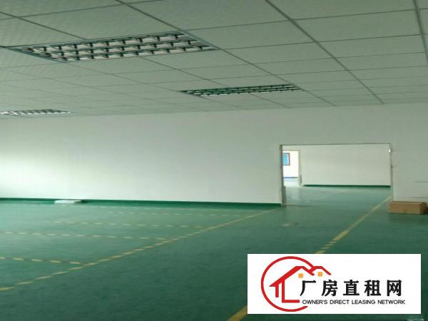 
观澜大和工业园1500平方带装修厂房出租