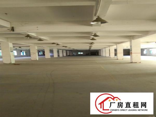 
观澜清平高速出口花园式厂房2300平米可分租