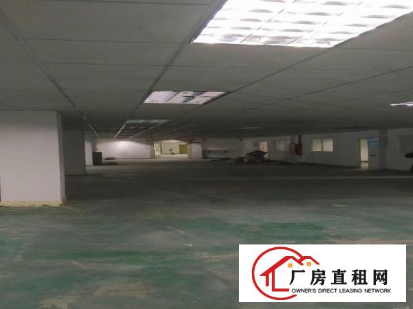 
观澜清平高速出口花园式厂房2300平米可分租