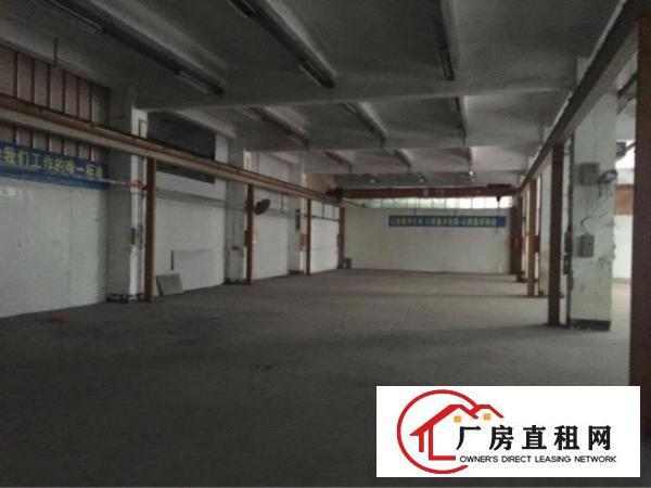 
龙华观澜新田业主直招一楼800平实际面积出租带行吊