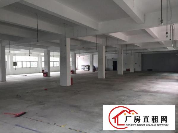 
龙华观澜新塘龙观快线边1100平小面积厂房业主直租