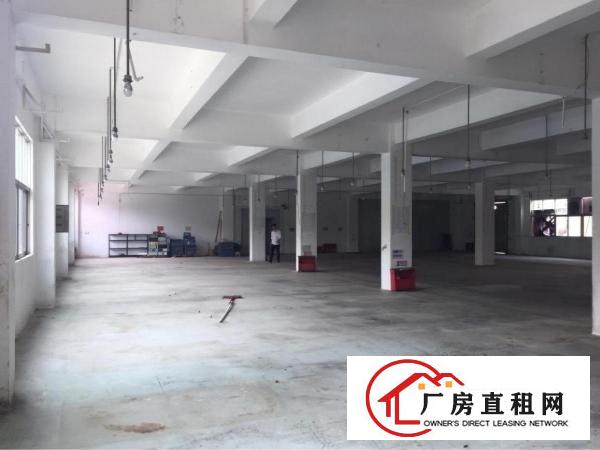 
龙华观澜新塘龙观快线边1100平小面积厂房业主直租