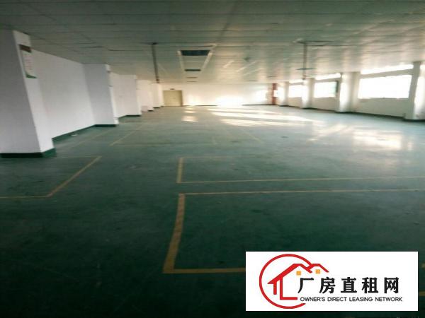 
观澜樟坑径上围园区独栋5400平米出租