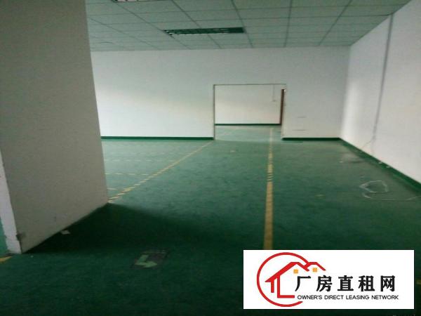 
观澜樟坑径上围园区独栋5400平米出租