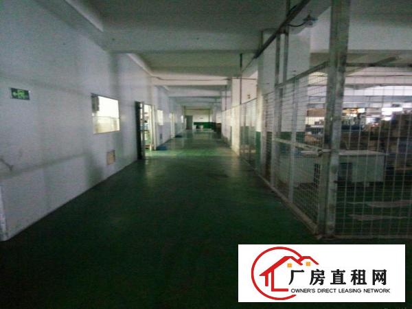 
观澜樟坑径上围园区独栋5400平米出租