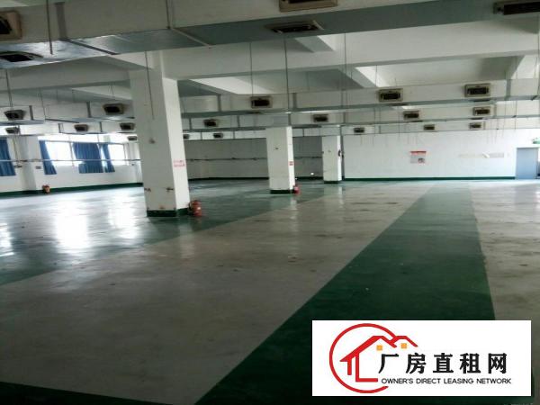 
观澜新塘福前路14层每层750平米出租有装修