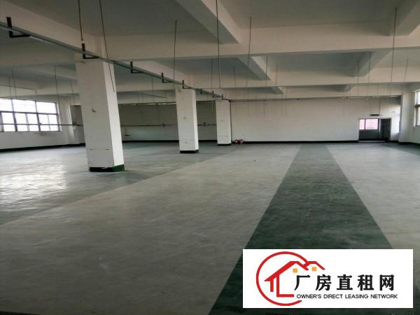 
观澜观光路大型工业园区独栋每层750平米出租