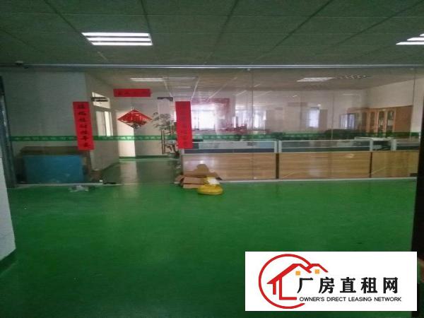 
新出精装700平米出租