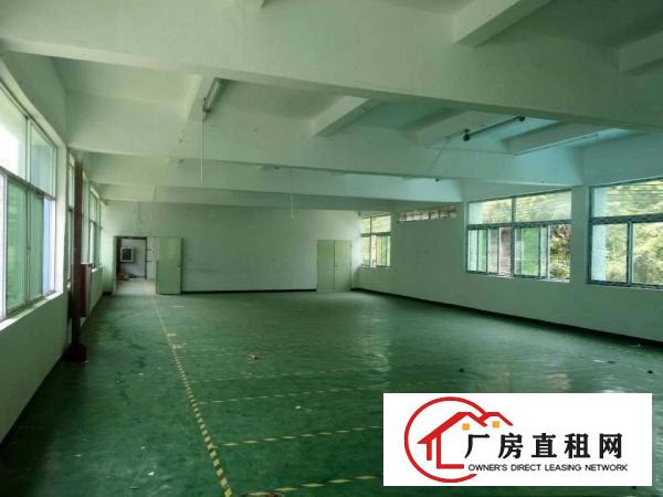 
观澜独院2300平米出租