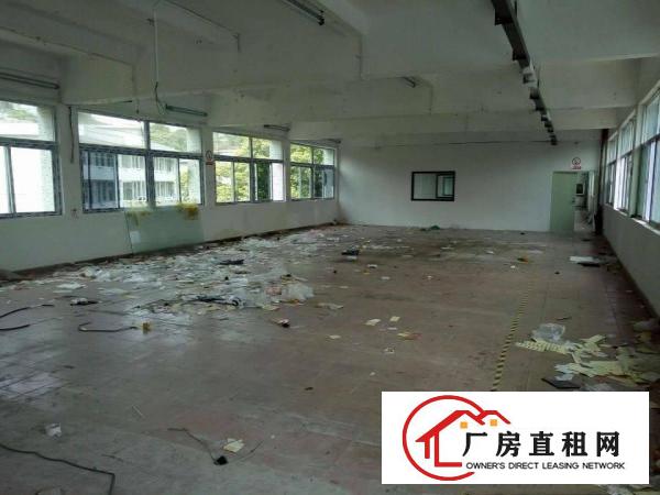 
观澜独院2300平米出租