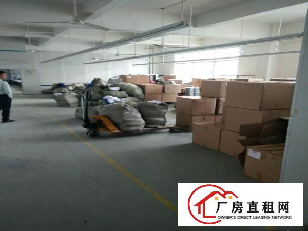 
观澜福民茜坑新出六楼1200平方