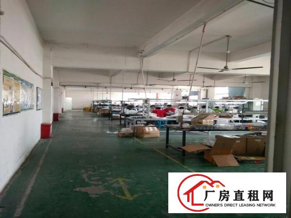 
福民新出五楼1250平方带装修
