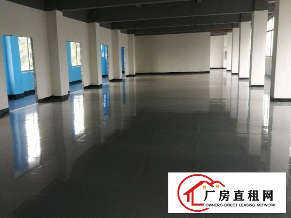 
观澜全新精装修商业，办公楼招租