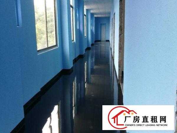 
观澜全新精装修商业，办公楼招租