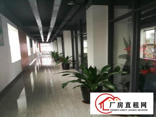 
观澜全新精装修商业，办公楼招租