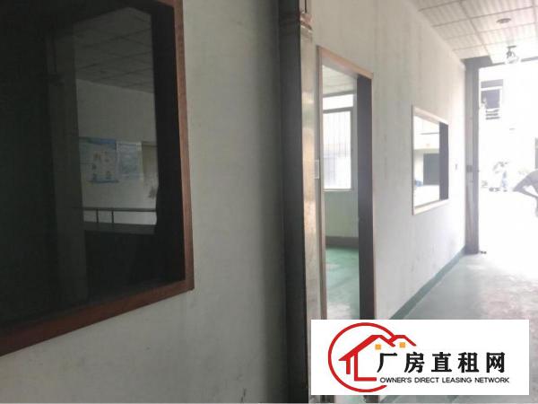 
观澜新出二楼500平厂房招租有电梯