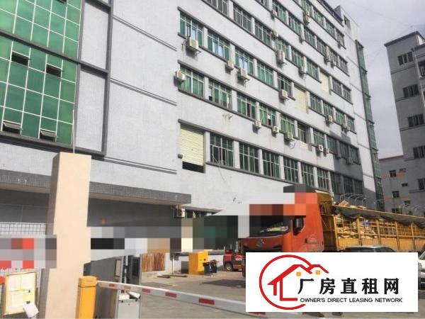 
观澜库坑高大上工业新出二楼装修厂房招租1500平米