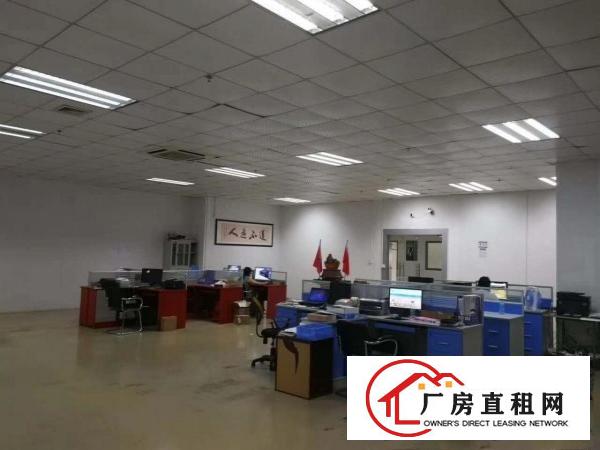 
观澜梅观高新科技园带装修厂房招租面积1000平