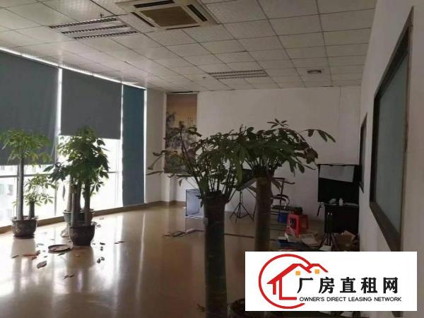 
观澜梅观高新科技园带装修厂房招租面积1000平