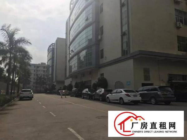 
观澜梅观高新科技园带装修厂房招租面积1000平