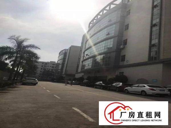 
观澜梅观高新科技园带装修厂房招租面积1000平