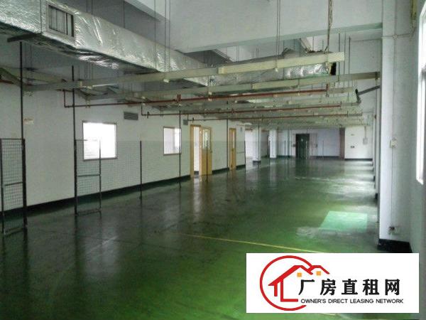 
库坑观光路边上新出1000平带精装修