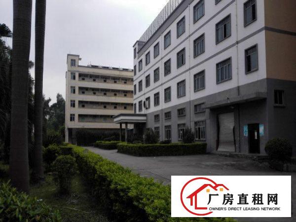 
库坑观光路边上新出1000平带精装修