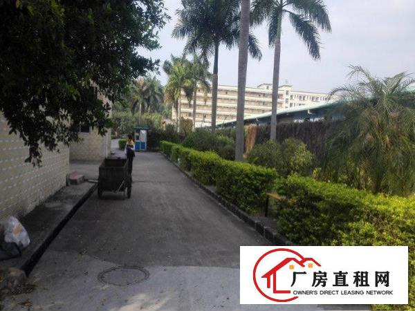 
库坑观光路边上新出1000平带精装修