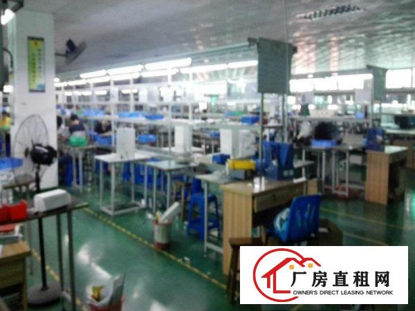 
龙观快线厂房招租1000平带精装修办公室