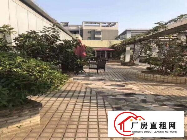 
观澜五和大道边上800平18元带装修