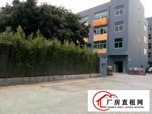 
观澜厂房招租1000平原房东带装修办公室厂房