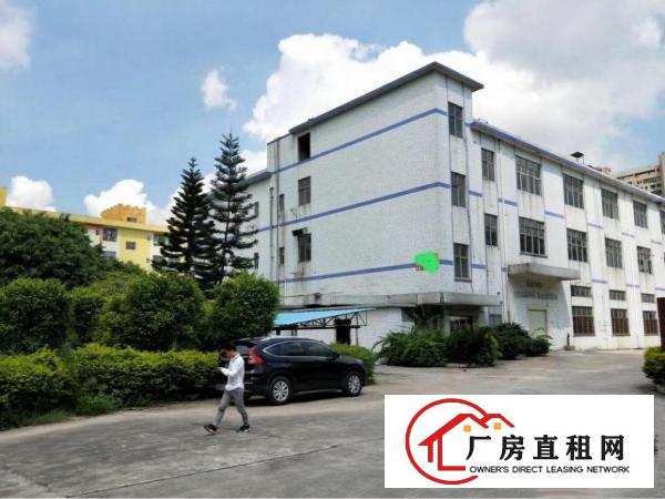 
观澜新出独院10000平厂房招租