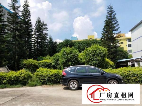 
观澜新出独院10000平厂房招租