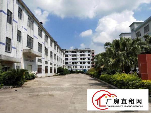 
观澜新出独院10000平厂房招租