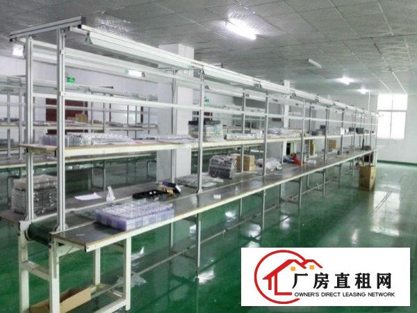 
梅观高速出口花园式厂房1250平带精装修