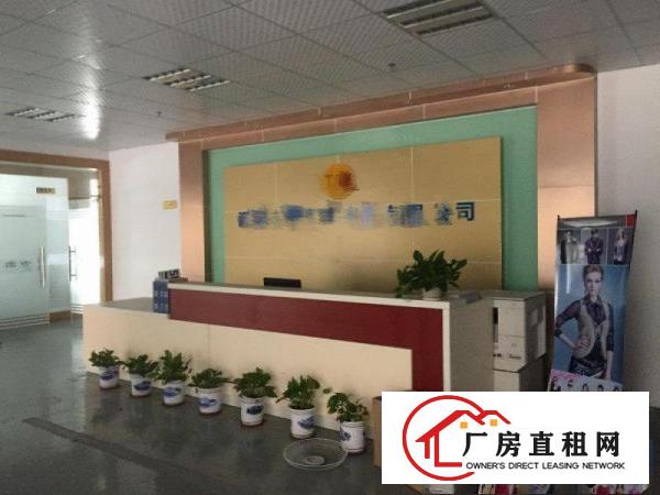 
观澜大富观光路边上原房东厂房消防喷淋1600精装修