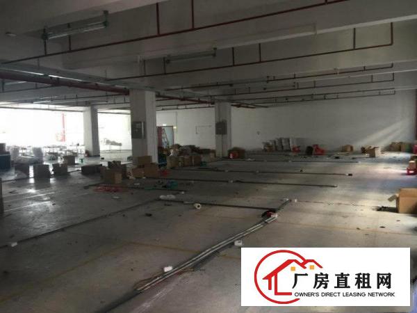 
观澜大富观光路边上原房东厂房消防喷淋1600精装修