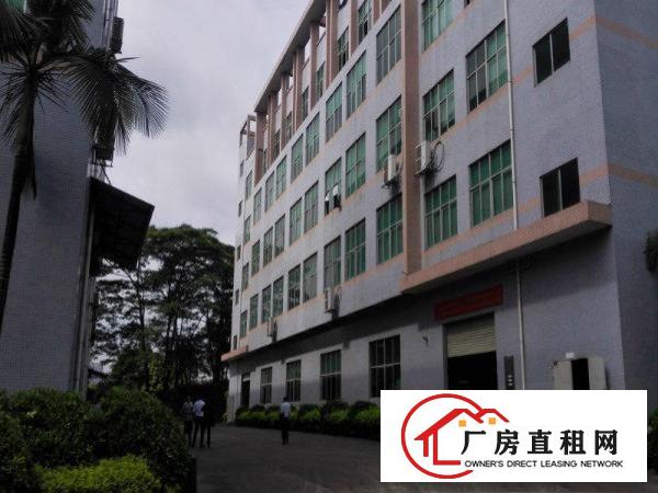 
观澜松元环观中路国道边上二楼4300平方厂房带装修