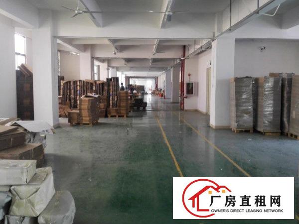 
库坑梅观高速原房东实际面积2200平方17元无公摊