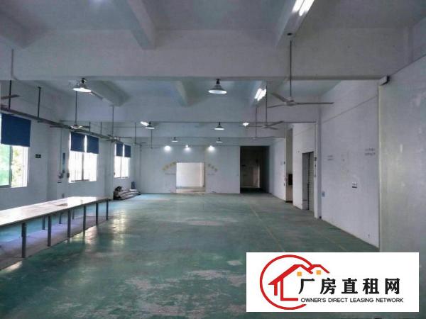 
大水坑观光路边二楼800平带豪华办公室装修厂房出租